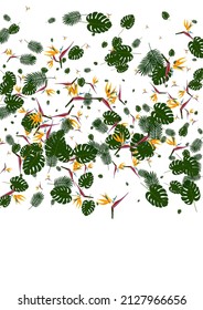 Vector Blanco De Fondo Hibiscus De Naranja. Decoración De Hojas. Monstera Amarilla. Textura de Aloha. Marco verde hawaiano.