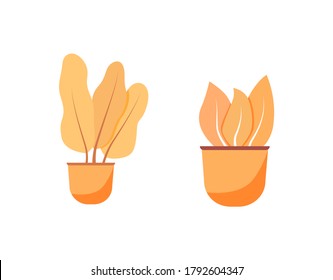 Orange houseplant flat color vector object set. Potted plant. Fern in flowerpot. Palm in vase. Interior decoration isolated cartoon illustration for web graphic design and animation collection