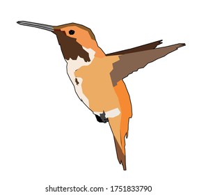 Vector de pájaro de oscilación anaranjada, que vuela con las alas estiradas. 