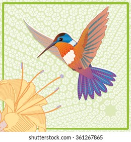 Orange hummingbird colibri and flower, vector illustration