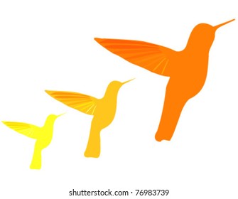 Orange hummingbirds silhouettes isolated over white. Vector