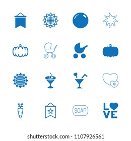 Orange icon. collection of 16 orange filled and outline icons such as pumpkin, sunflower, baby stroller, love word, cocktail, flag. editable orange icons for web and mobile.