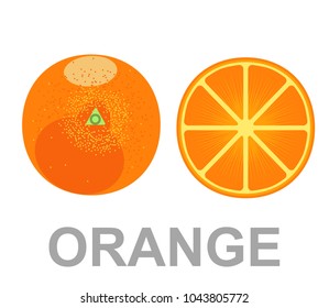 a Orange icon entirely and in a cut. Vector illustration of oranges