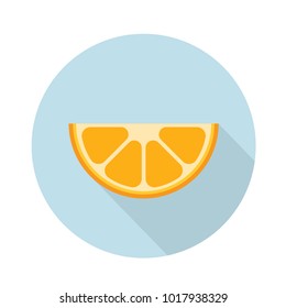 Orange icon flat citrus vector