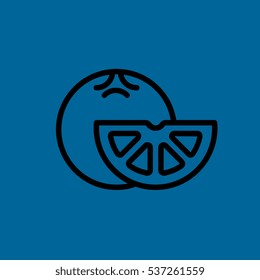 orange icon flat disign