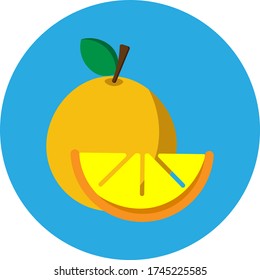 The orange icon flat style eps 10 for your web and mobile design
