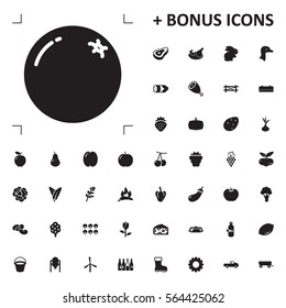 orange icon illustration isolated vector sign symbol