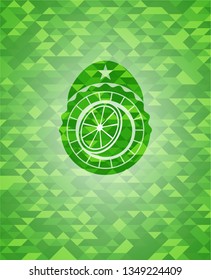 orange icon inside green emblem with mosaic ecological style background