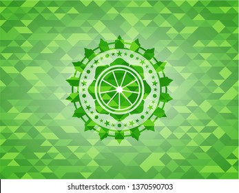 orange icon inside green emblem with mosaic ecological style background