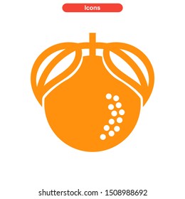 orange icon isolated sign symbol vector illustration - High quality colored vector icons
