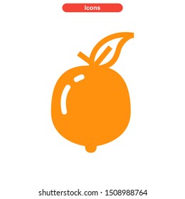 orange icon isolated sign symbol vector illustration - High quality colored vector icons
