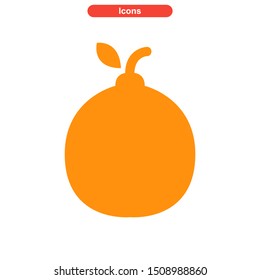 orange icon isolated sign symbol vector illustration - High quality colored vector icons
