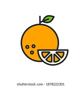 Orange icon. Linear color icon, contour, shape, outline. Thin line. Modern minimalistic design. Vector illustrations of fruits