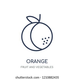Orange icon. Orange linear symbol design from Fruit and vegetables collection. Simple outline element vector illustration on white background.