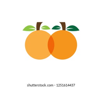 Orange icon logo template