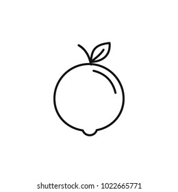 Orange icon in outline style. Vector illustration with Orange isolated on white background. Outline fruit object for web