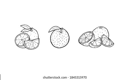 Orangefarbenes Symbol in einer Linie angeordnet, handgezeichnet Umrissgrafik. Gesunde Vitamin-Früchte, die gut für die Herstellung von Saft voller Gesundheit. Silhouettensymbol für Grapefruitroh-Stift. Logo für exotische Süßpflanzen.