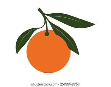 Orange icon set in flat style. Orange fruit isolated on white background. Vector illustration for design