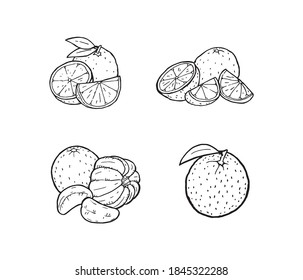 Orangefarbene Ikone Set einfach arrangiert, handgefertigte Konturgrafik. Gesunde Vitamin-Früchte, die gut für die Herstellung von Saft voller Gesundheit. Silhouettensymbol für Grapefruitroh-Stift. Logo für exotische Süßpflanzen.