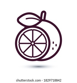 Orange icon thin line for web and mobile, modern minimalist flat design. Eps 10 vector illustration.
