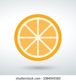 Orange icon vector