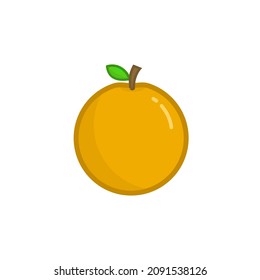 orange icon vector graphic flat illustration with outline. fit for nutrition and healthy design