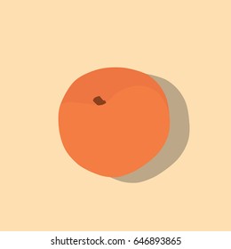 Orange icon, vector illustration design. Fruits collection.