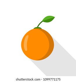 Orange icon. Vector illustration. Flat design.