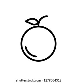 Orange Icon Vector Illustration in Line Style for Any Purpose