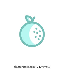 orange icon vector. orange icon modern style design