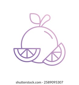 Orange icon vector stock illustration