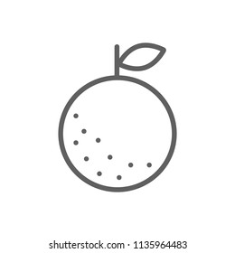 Orange icon vector in thin line style isolated
