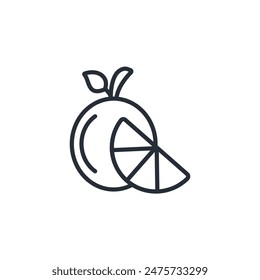 Orange icon. vector.Editable stroke.linear style sign for use web design,logo.Symbol illustration.