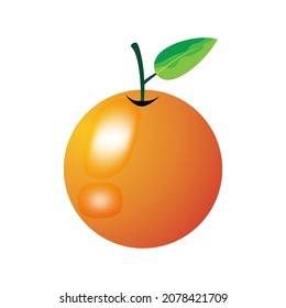 Orange icons  vector design, illustration 