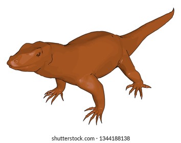 Orange Iguana vector color drawing or illustration