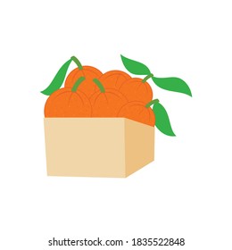 Orange illustration Design Slice Part Box