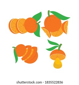 Orange-Illustrations-Design-Slide-Section-Set