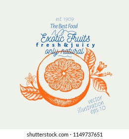 Ilustración naranja. Ilustración de frutas vectoriales dibujada a mano. Estilo grabado. Ilustración de cítricos de época.