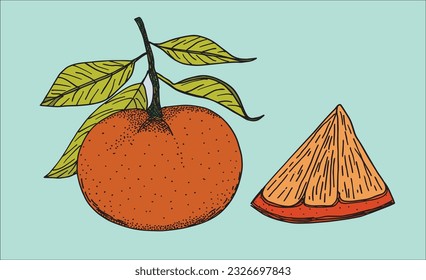 Orange illustration image. 
Hand drawn image artwork of an orange. 
Simple cute original logo.
Hand drawn vector illustration for posters, cards, t-shirts.