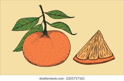 Orangefarbenes Bild. 
Handgezeichnete Bilder einer Orange. 
Einfaches, niedliches Originallogo.
Handgezeichnete Vektorgrafik für Poster, Karten, T-Shirts.