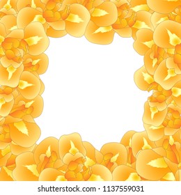 Orange Iris Flower Border. Vector Illustration.