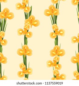 Orange Iris Flower on Beige Ivory Background. Vector Illustration.