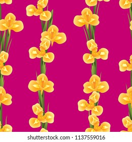 Orange Iris Flower on Pink Background. Vector Illustration.