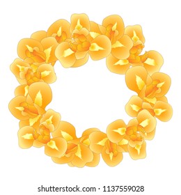 Orange Iris Flower Wreath. Vector Illustration.