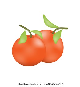 Orange isolate on white background. Vector illustration.