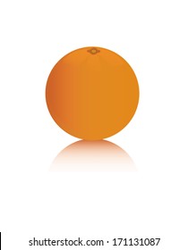 Orange isolated on a white background (vector graphics)