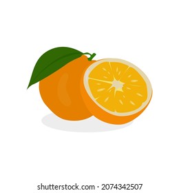 Orange isolated on white background. Orange flat design vector