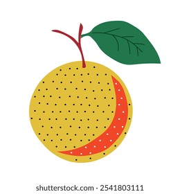 Orange isolated on a white background. Vector illustration.