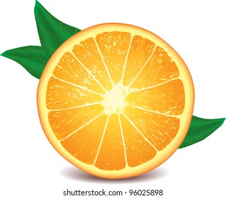 orange isolated on white photo-realistic vector illustration