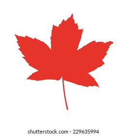 Orange isolated vector maple leaf